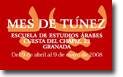 Mes de Túnez