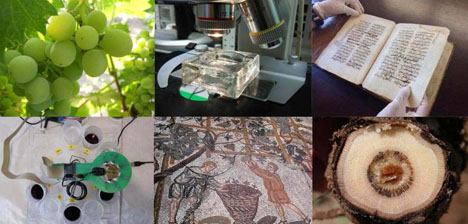 Exposición: La vid, el vino y el CSIC. Dos siglos de investigación 