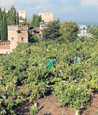 Huertas del Genaralife. Imagen "Grabada Hoy"