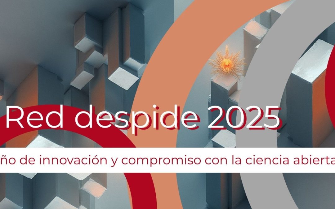 Balance de las principales actividades desarrolladas en la Red durante 2025
