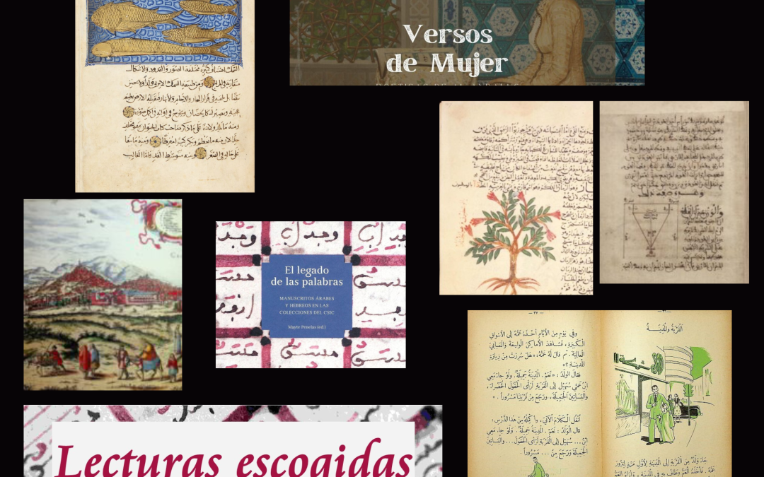 Lecturas escogidas 2023-2025