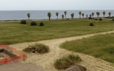 La campaña de excavaciones en el Parque Arqueológico de Lilibeo-Marsala en los medios